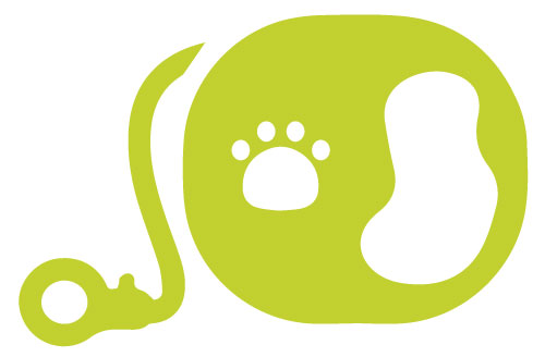aaaa